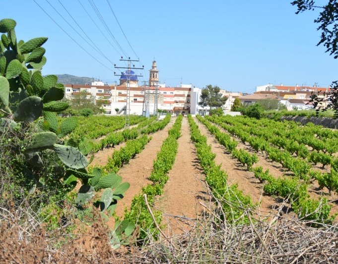 2015025 - Terreno urbano en venta en Jalón