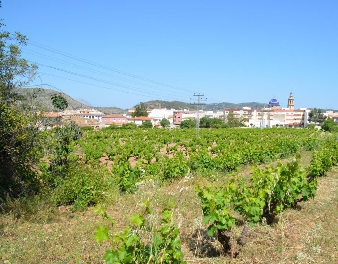 2015025 - Terreno urbano en venta en Jalón