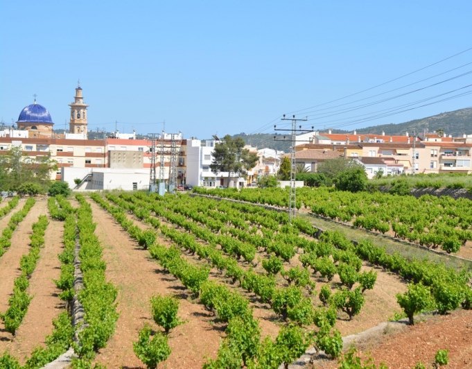 2015025 - Terreno urbano en venta en Jalón