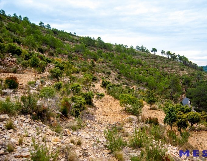 Terreno en venta en Marnes, Bernia