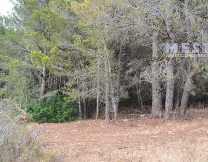 Parcelas de 11.000m2, en Marnes LLiber