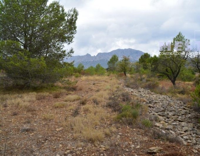 Parcelas de 11.000m2, en Marnes LLiber