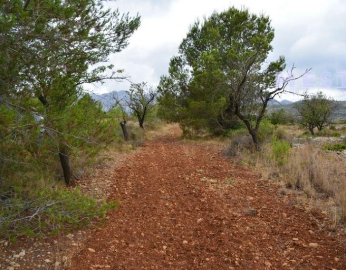 Parcelas de 11.000m2, en Marnes LLiber