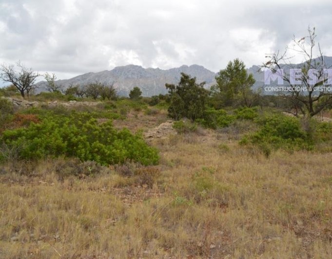 Terreno de 10360m2, en Marnes, Lliber