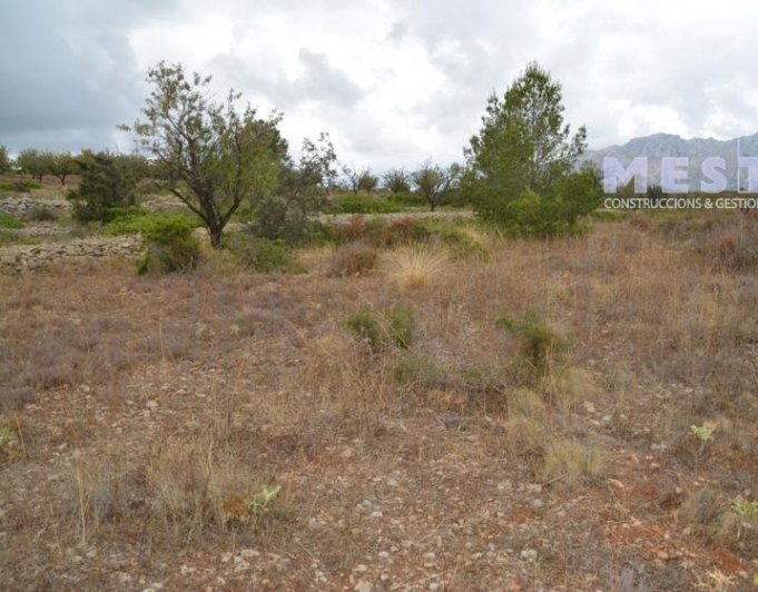 Terreno de 10360m2, en Marnes, Lliber
