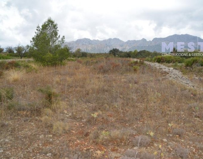 Terreno de 10360m2, en Marnes, Lliber