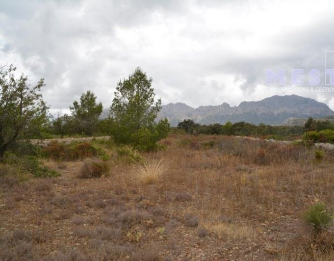 Terreno de 10360m2, en Marnes, Lliber