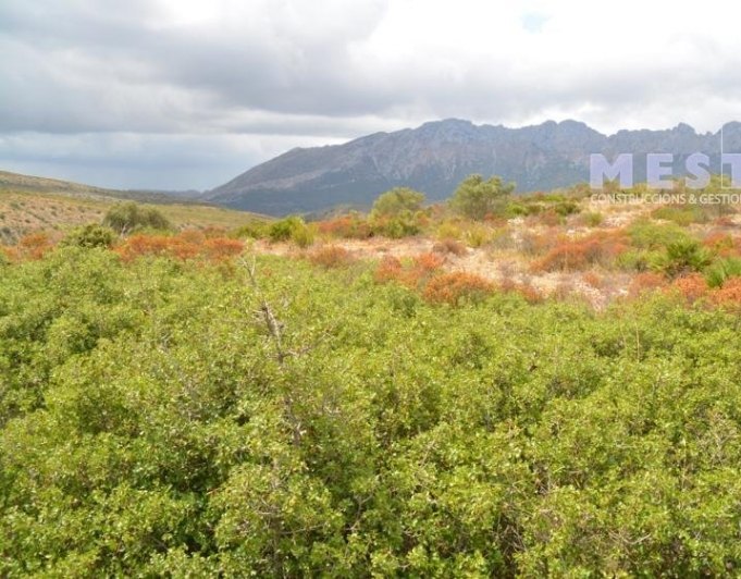 2015103 - Terreno de 38.000m2, en Marnes, Lliber