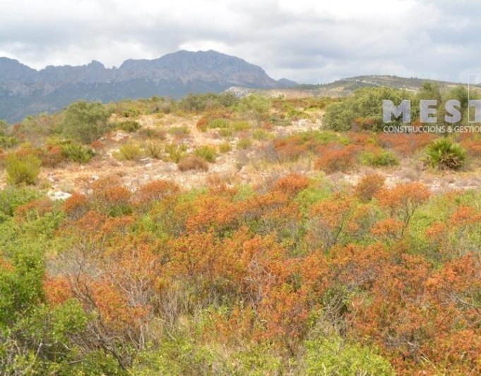 2015103 - Terreno de 38.000m2, en Marnes, Lliber