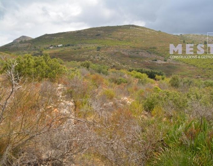 2015103 - Terreno de 38.000m2, en Marnes, Lliber