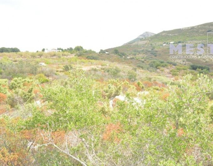 2015103 - Terreno de 38.000m2, en Marnes, Lliber