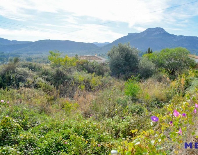 Terreno urbanizable en venta en Alcalalí