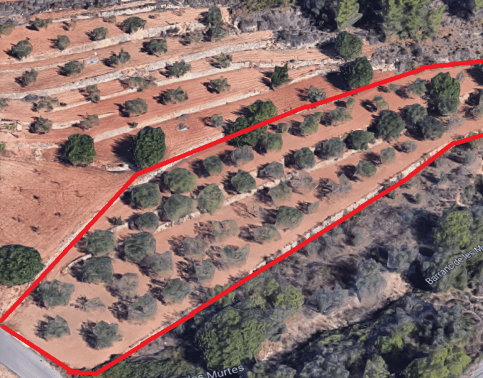 2015301 - Terreno de cultivo en venta en Jalón