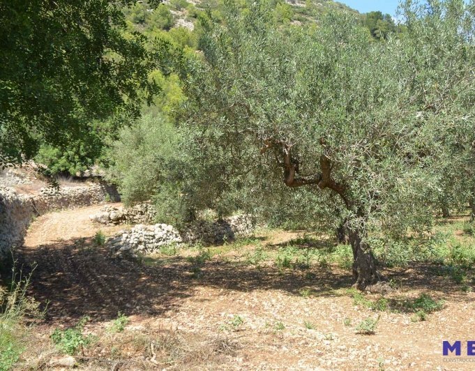 2015301 - Terreno de cultivo en venta en Jalón