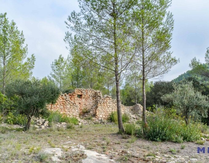 Parcela con ruina en venta en Alcalalí