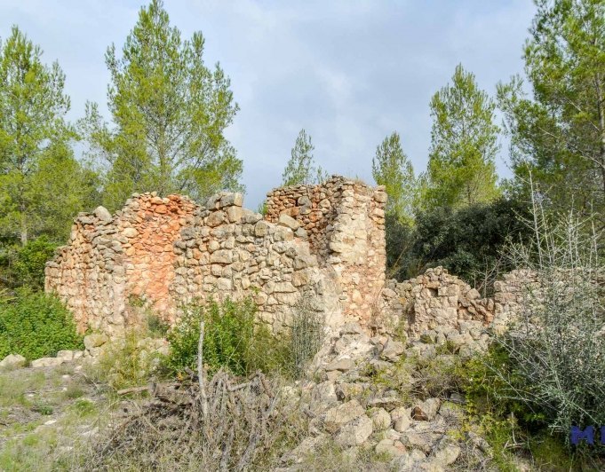 Parcela con ruina en venta en Alcalalí