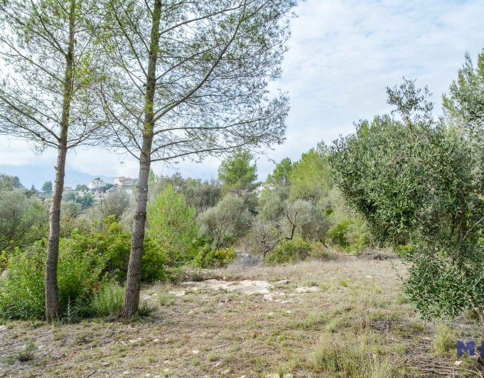 Parcela con ruina en venta en Alcalalí