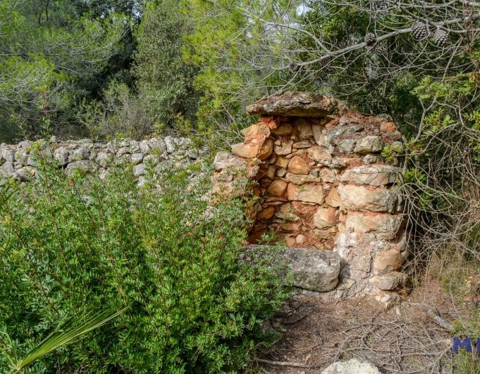 Parcela con ruina en venta en Alcalalí