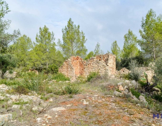 Parcela con ruina en venta en Alcalalí
