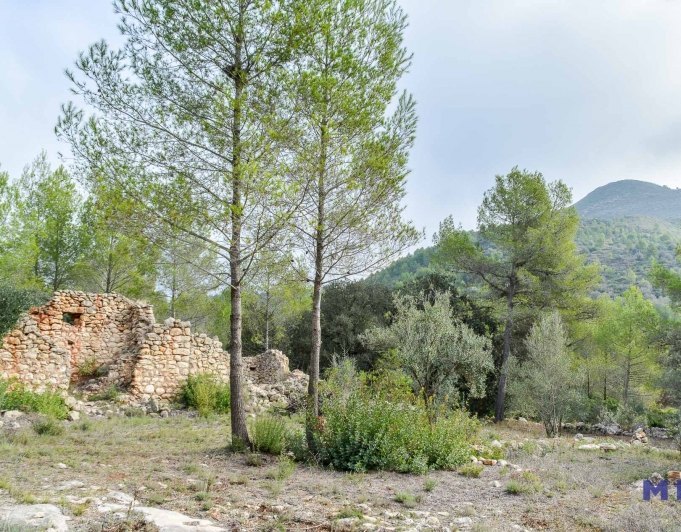 Parcela con ruina en venta en Alcalalí