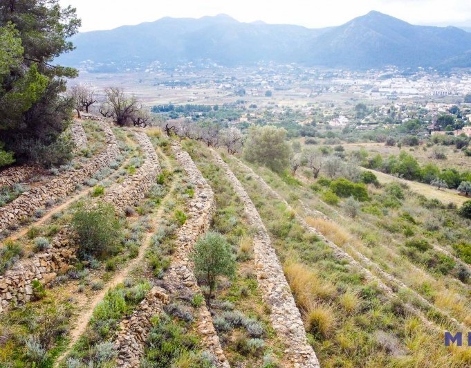 Terreno en venta en Jalón / Xaló