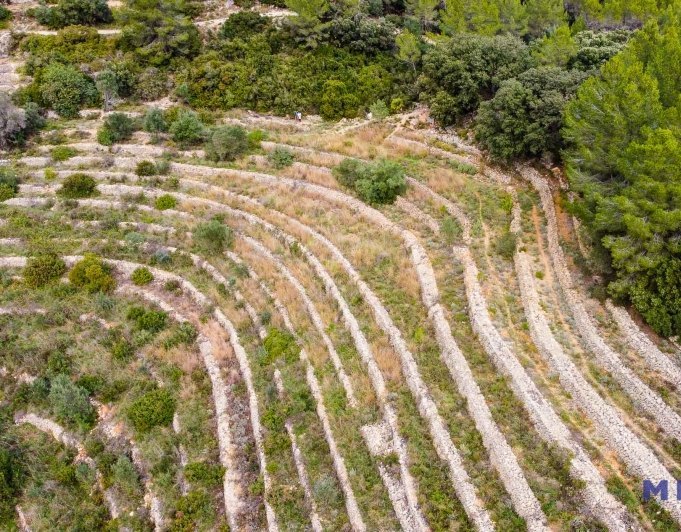 Terreno en venta en Jalón / Xaló