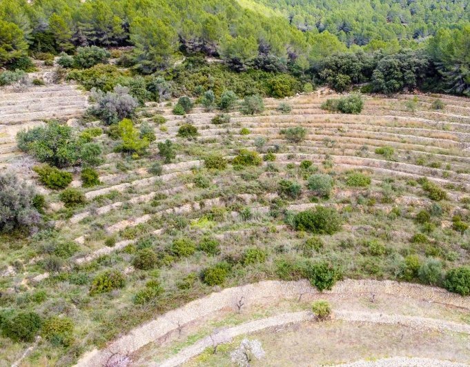 Terreno en venta en Jalón / Xaló