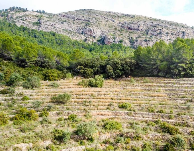 Terreno en venta en Jalón / Xaló