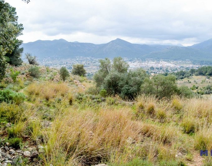 Terreno en venta en Jalón / Xaló
