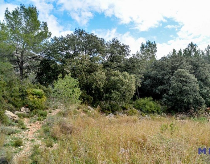 Terreno en venta en Jalón / Xaló