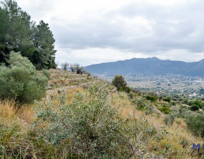 Terreno en venta en Jalón / Xaló