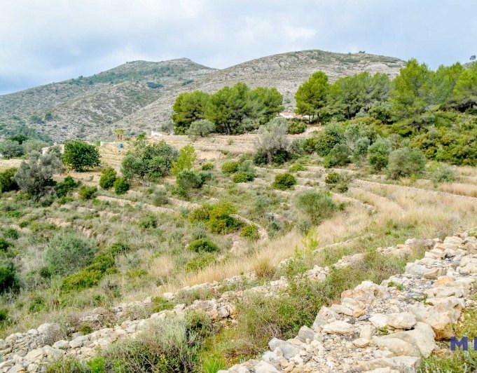 Terreno en venta en Jalón / Xaló