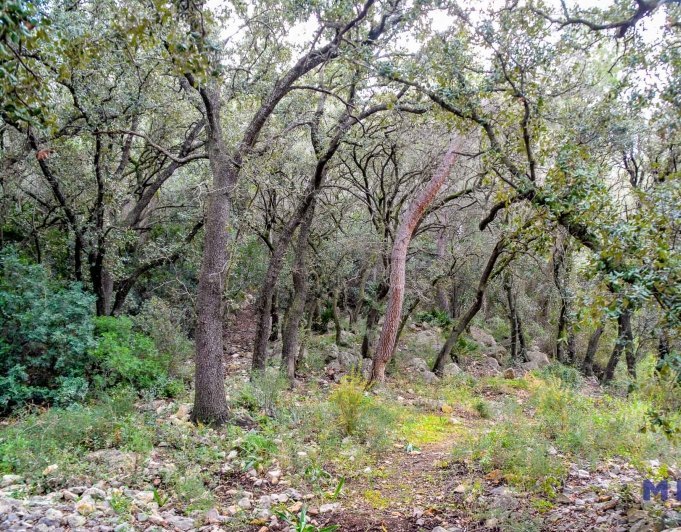 Terreno en venta en Jalón / Xaló