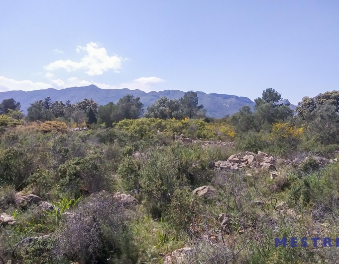 2015451 - Terreno con casita de campo en venta en Marnes