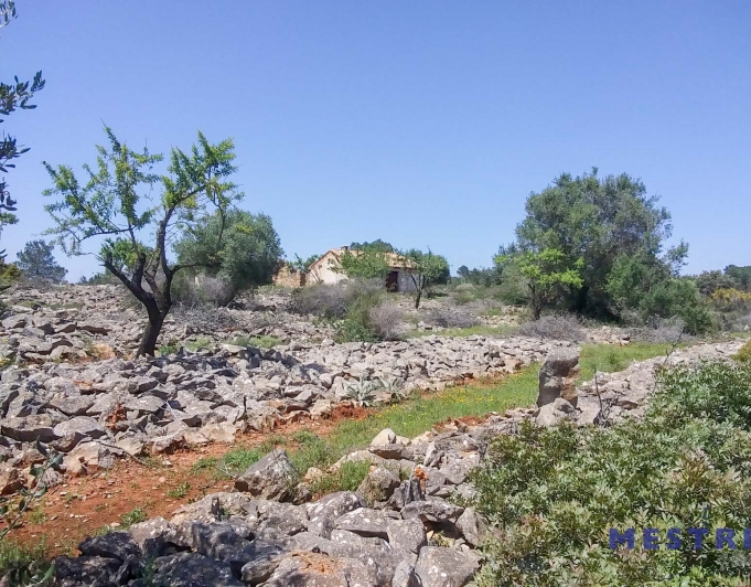 2015451 - Terreno con casita de campo en venta en Marnes
