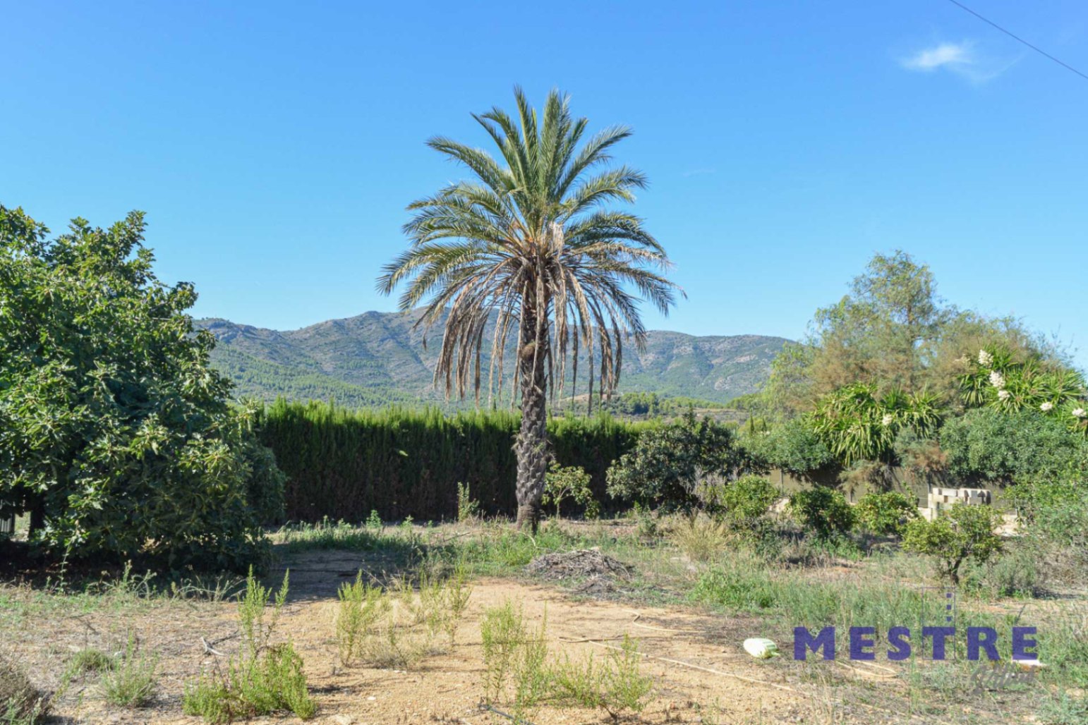 Casa de campo para reformar con riura en venta en Alcalaló