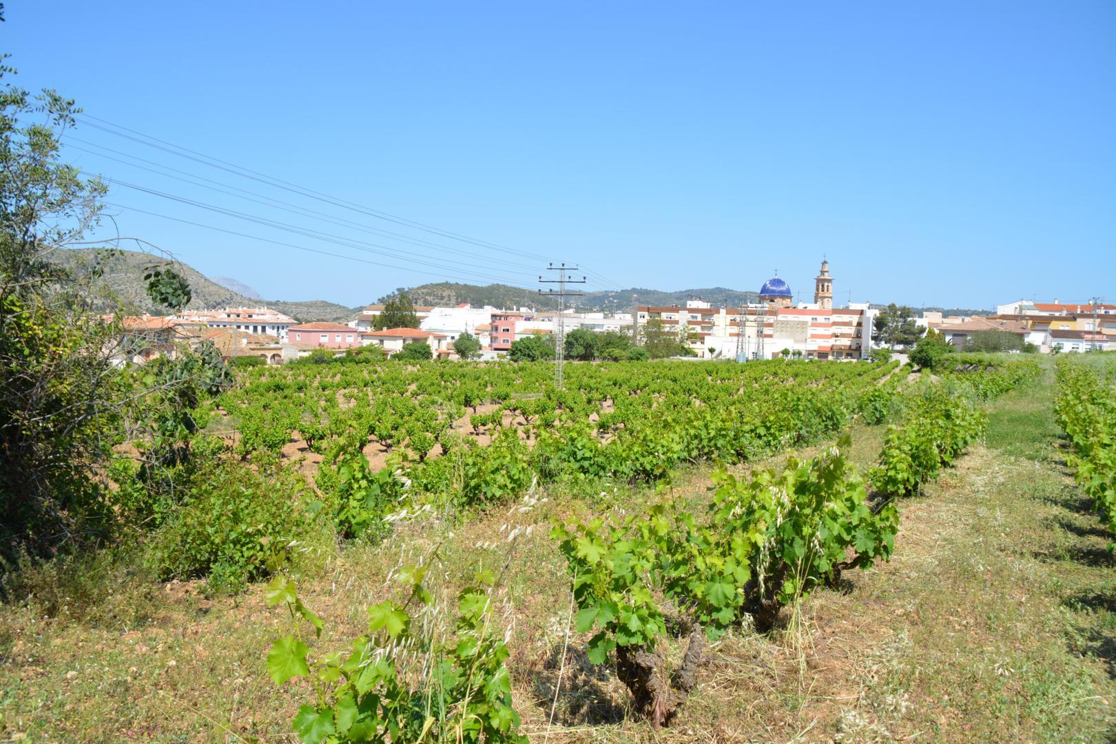 Terreno urbano en venta en Jalón