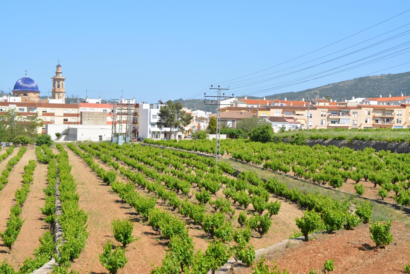Terreno urbano en venta en Jalón