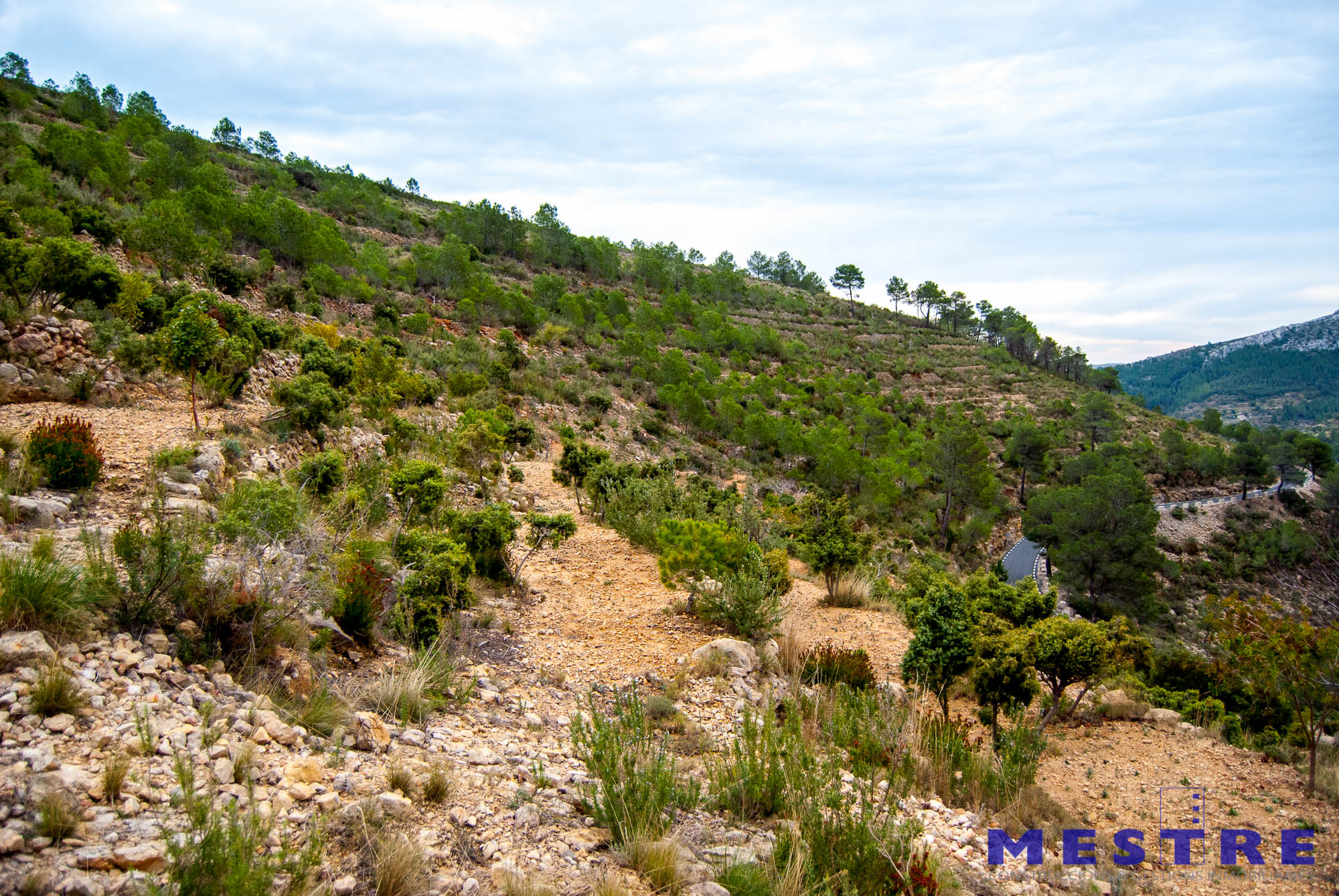 Terreno en venta en Marnes, Bernia