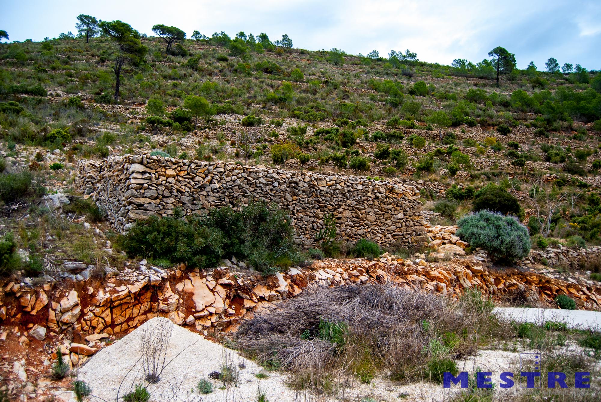 Terreno en venta en Marnes, Bernia