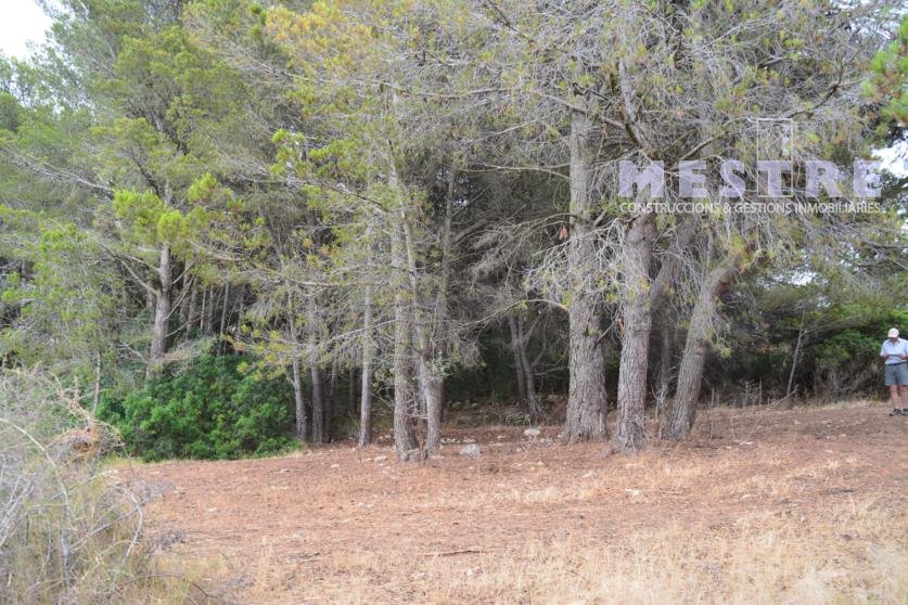 Parcelas de 11.000m2, en Marnes LLiber
