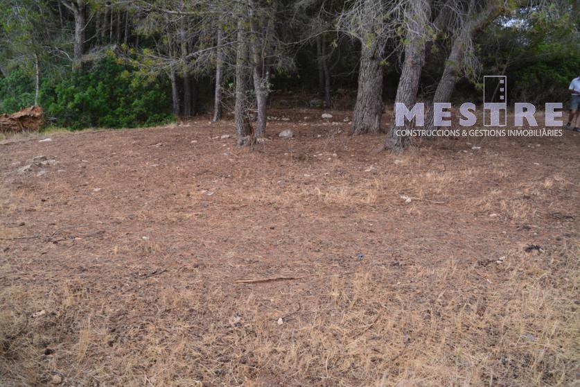 Parcelas de 11.000m2, en Marnes LLiber