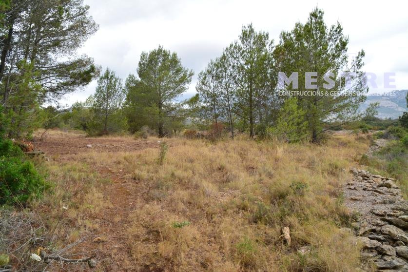 Parcelas de 11.000m2, en Marnes LLiber