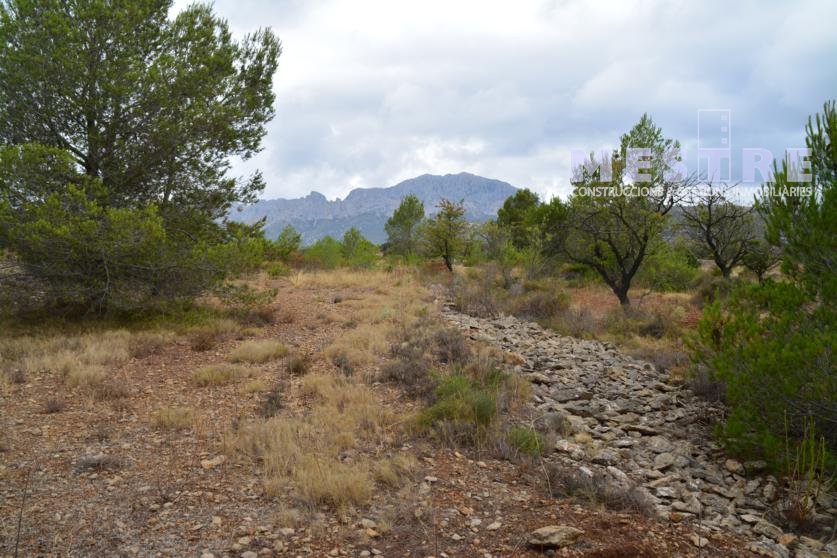 Parcelas de 11.000m2, en Marnes LLiber