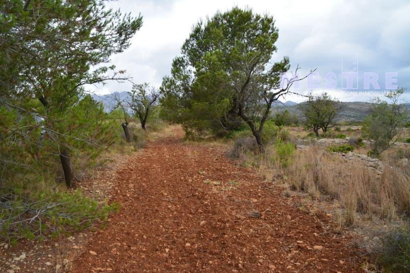 Parcelas de 11.000m2, en Marnes LLiber