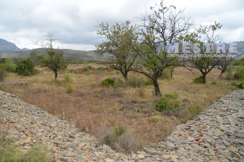 Parcelas de 11.000m2, en Marnes LLiber