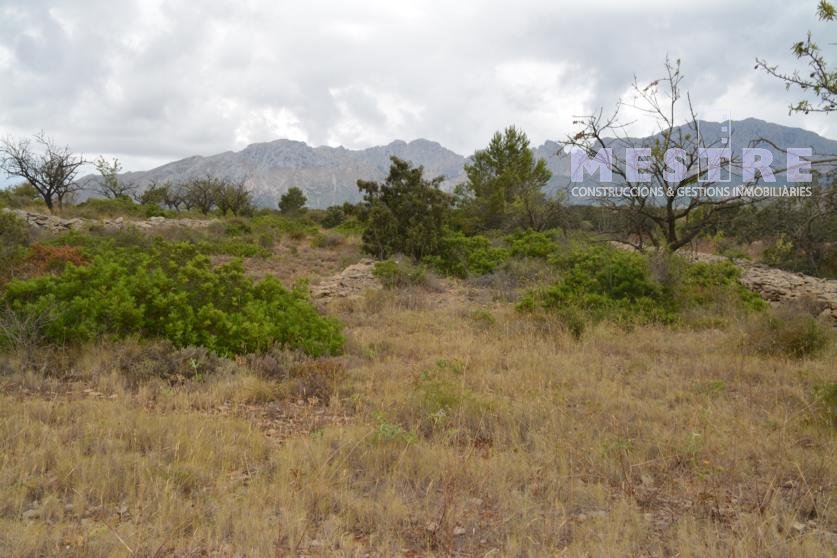 Terreno de 10360m2, en Marnes, Lliber