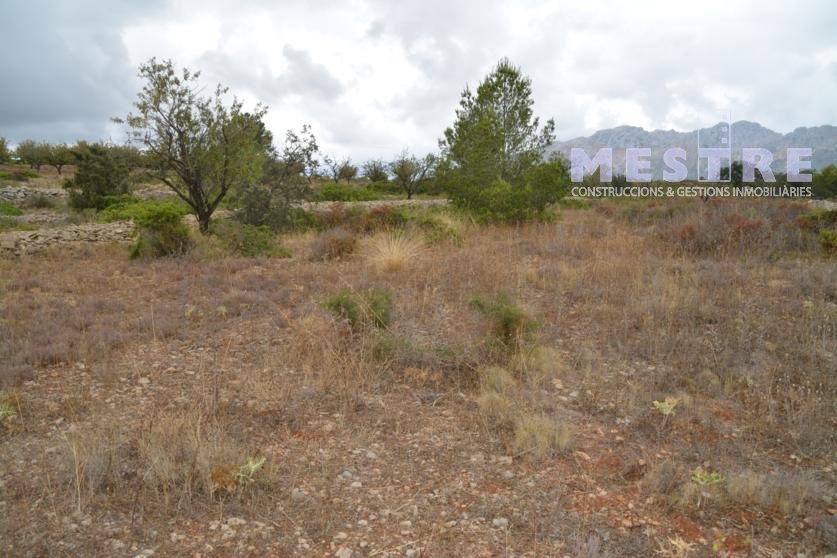 Terreno de 10360m2, en Marnes, Lliber