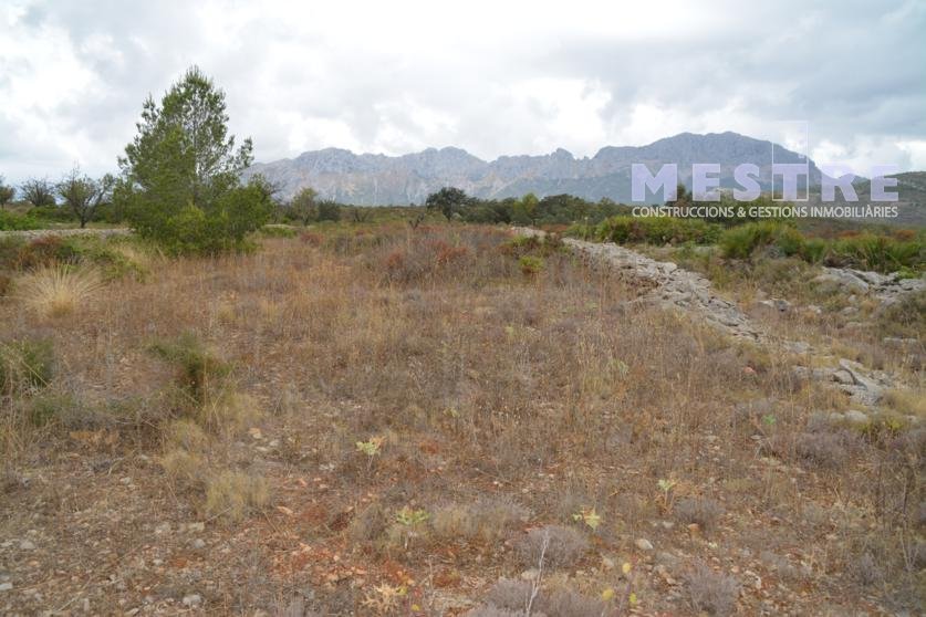 Terreno de 10360m2, en Marnes, Lliber