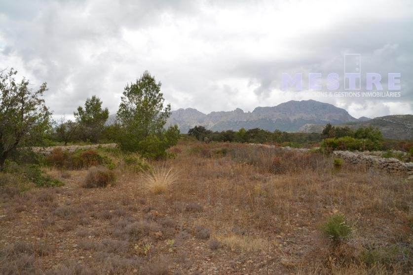 Terreno de 10360m2, en Marnes, Lliber